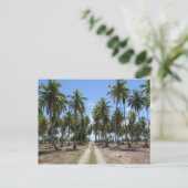 Rangiroa Weg ins Paradies Postkarte (Stehend Vorderseite)
