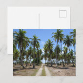 Rangiroa Weg ins Paradies Postkarte (Vorne/Hinten)