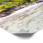 Rangiropalmen Poster (Ecke)