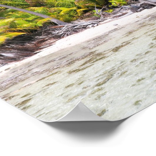 Rangiropalmen Poster (Ecke)