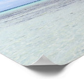 Rangiropalmen Poster (Ecke)