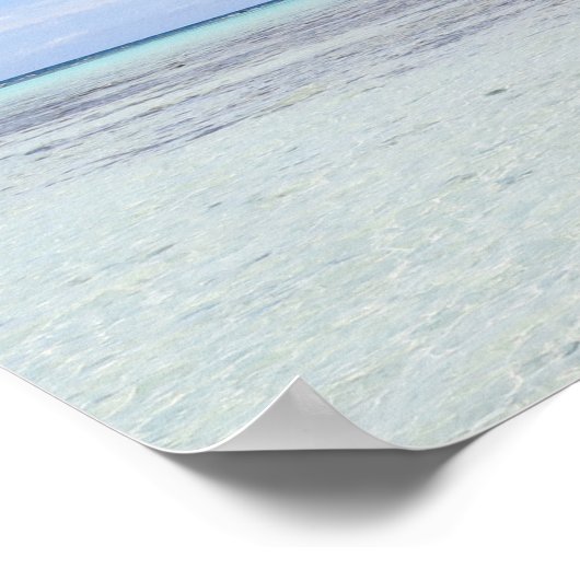 Rangiropalmen Poster (Ecke)