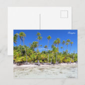 Rangiropalmen Postkarte (Vorne/Hinten)