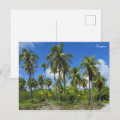 Rangiropalmen Postkarte (Vorne/Hinten)