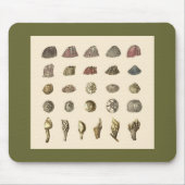 Rankenfußkrebs mousepad (Vorne)