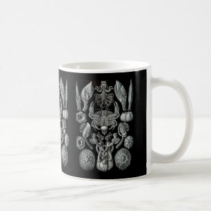 Rankenfußkrebse Kaffeetasse
