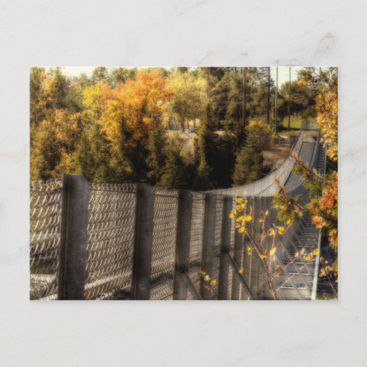 Ranney Gorge Hängebrücke Postkarte (Vorderseite)