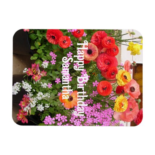 Rannunculus Spring Blume Blume Blumengeburt Magnet (Horizontal)