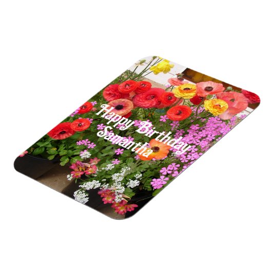 Rannunculus Spring Blume Blume Blumengeburt Magnet (Linke Seite)