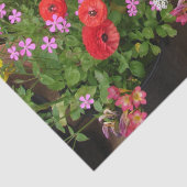 Rannunculus Spring Bulbs Birthday Pink Garden Seidenpapier (Detail)