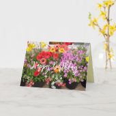 Rannunculus Spring Bulbs Blume Blume Karte (Gelbe Blume)