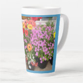 Rannunculus Spring Bulbs Blume Blume Milchtasse (Rechte Ecke)