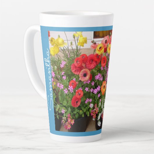 Rannunculus Spring Bulbs Blume Blume Milchtasse (Linke Ecke)