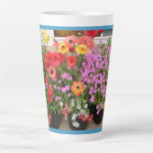 Rannunculus Spring Bulbs Blume Blume Milchtasse (Vorderseite)