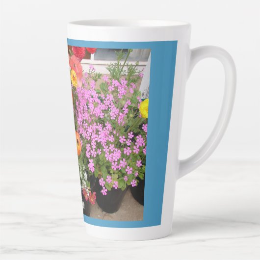 Rannunculus Spring Bulbs Blume Blume Milchtasse (Rechts)