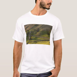 Rano Raraku, Rapa Nui, Osterinsel, Chile T-Shirt