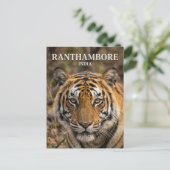 Ranthambore-Nationalpark Indien Postkarte (Stehend Vorderseite)