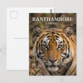 Ranthambore-Nationalpark Indien Postkarte (Vorne/Hinten)