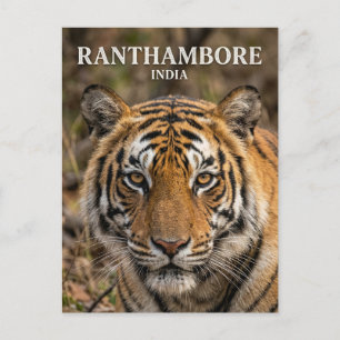 Ranthambore-Nationalpark Indien Postkarte