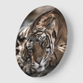 Ranthambourtiger: nah-up fine art. große wanduhr (Winkel)