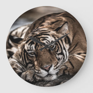 Ranthambourtiger: nah-up fine art. große wanduhr