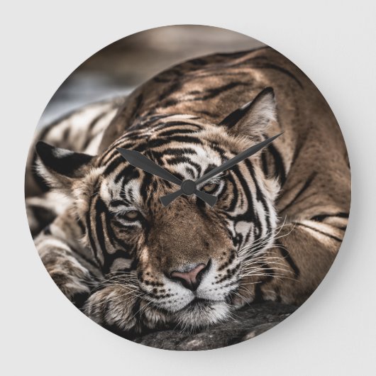 Ranthambourtiger: nah-up fine art. große wanduhr (Vorderseite)