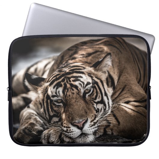 Ranthambourtiger: nah-up fine art. laptopschutzhülle (Vorderseite)