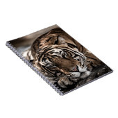 Ranthambourtiger: nah-up fine art. notizblock (Rechte Seite)