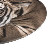 Ranthambourtiger: nah-up fine art. schneidebrett (Ecke)