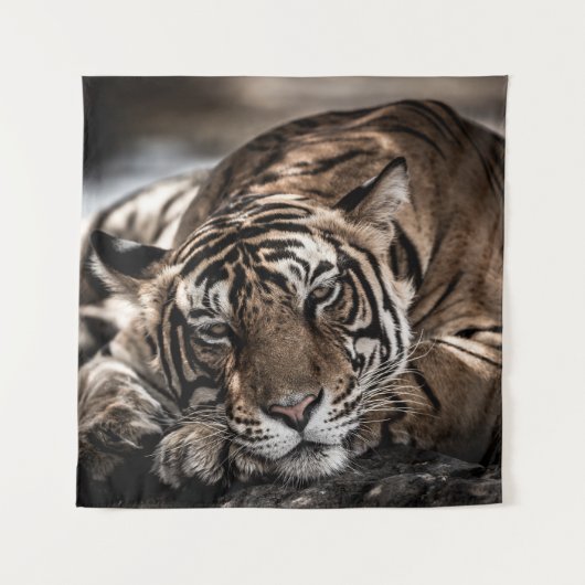 Ranthambourtiger: nah-up fine art. wandteppich (Vorderseite)