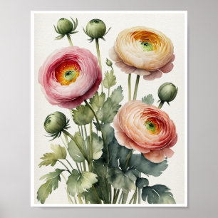 Ranunculus Blume Handgemachte Wasserfarbenplakate Poster
