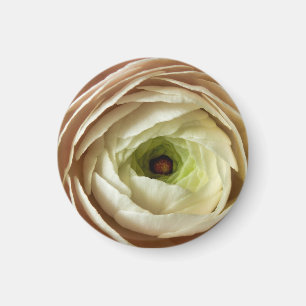 Ranunculus Blume Magnet