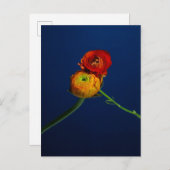 Ranunculus Postcard Postkarte (Vorne/Hinten)