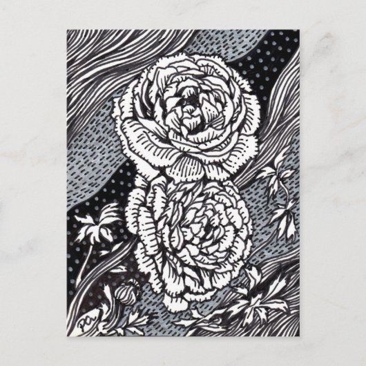 Ranunculus Postkarte (Vorderseite)