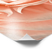 Ranunculus Swirl Fotodruck (Ecke)