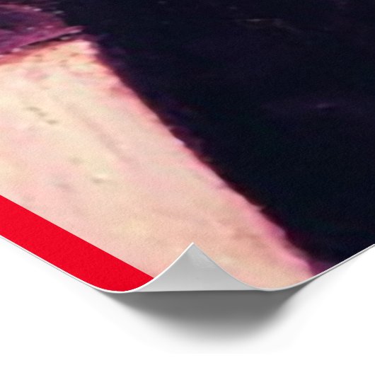 RÄNZUNG DER OZ FLY FLY POSTER (Ecke)