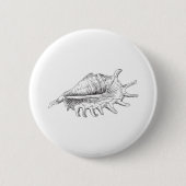 Rapana Seashell Button (Vorderseite)