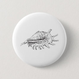 Rapana Seashell Button
