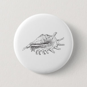 Rapana Seashell Button