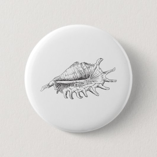 Rapana Seashell Button (Vorderseite)