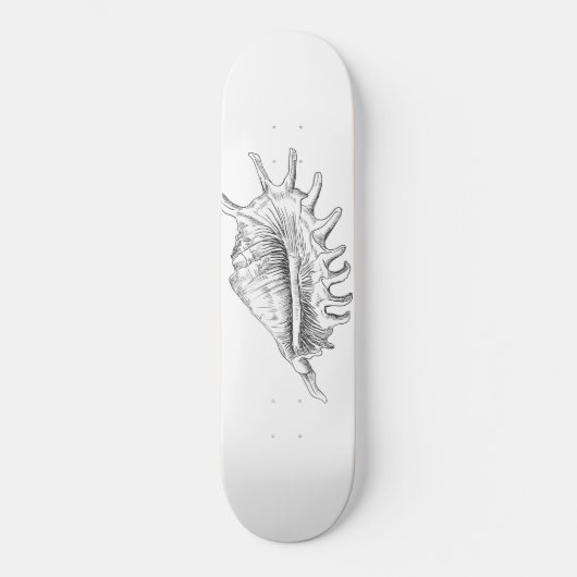 Rapana Seashell Kaffee Tasse Teapot Skateboard (Vorderseite)