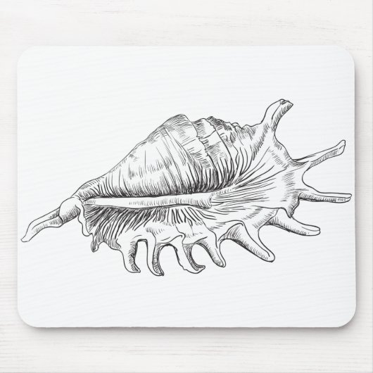 Rapana Seashell Mousepad (Vorne)