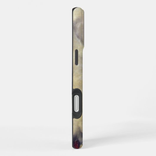 Raphael-Engel iPhone Hülle (Rechte Seite)