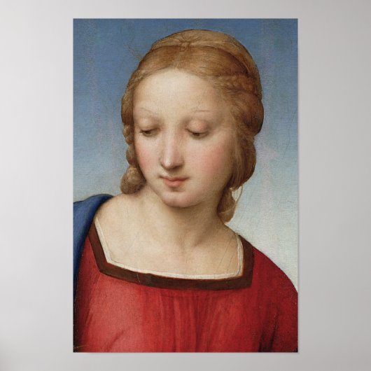 Raphael Madonna Goldfinch (Detail) Kunst, Dichtung Poster (Vorne)