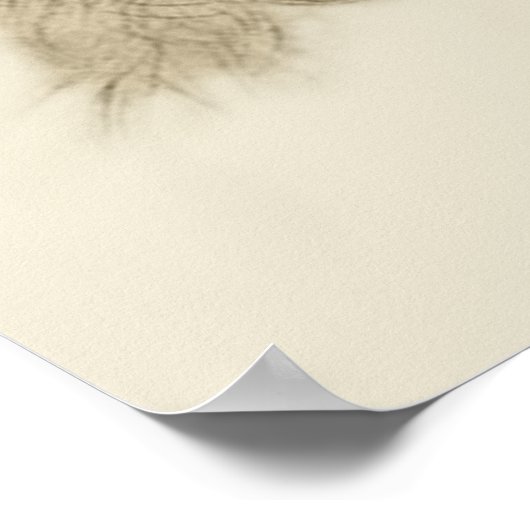 Raphael Poster (Ecke)