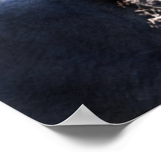 "Raphael & Snowy Trees" Poster (Ecke)