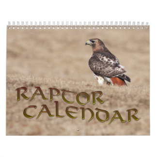 Rapid Calendar Kalender