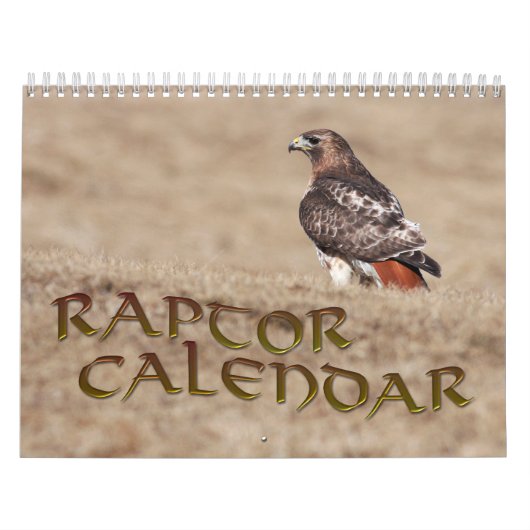 Rapid Calendar Kalender (Titelbild)