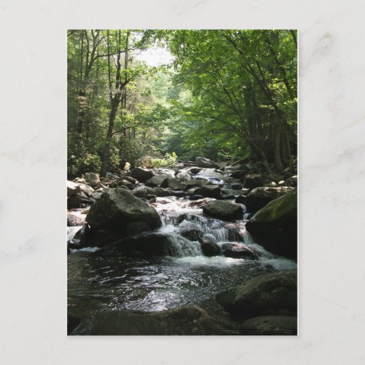 Rapid Postkarte (Vorderseite)