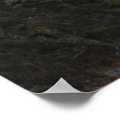 Rapide in BC Poster (Ecke)